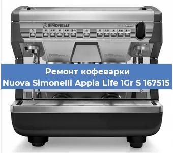 Чистка кофемашины Nuova Simonelli Appia Life 1Gr S 167515 от накипи в Нижнем Новгороде